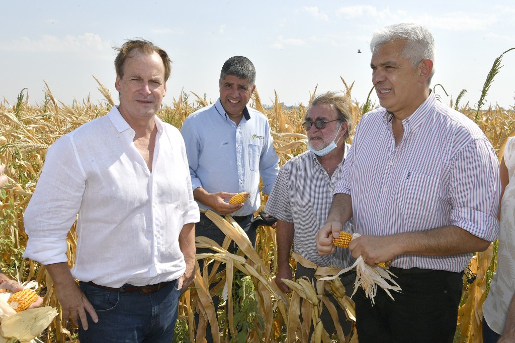 Provincia y Nación asistirán a productores entrerrianos afectados por la sequía