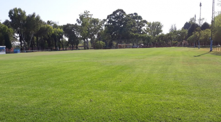 El ingeniero agrónomo que sale a la cancha