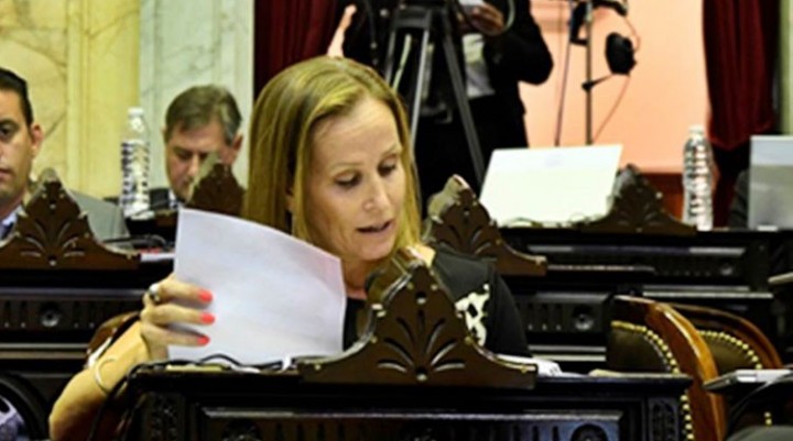 Mayda Cresto llevó el reclamo de una tarifa eléctrica diferenciada al Congreso Nacional