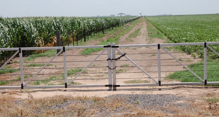Puntos claves para acordar un buen contrato de arrendamiento rural