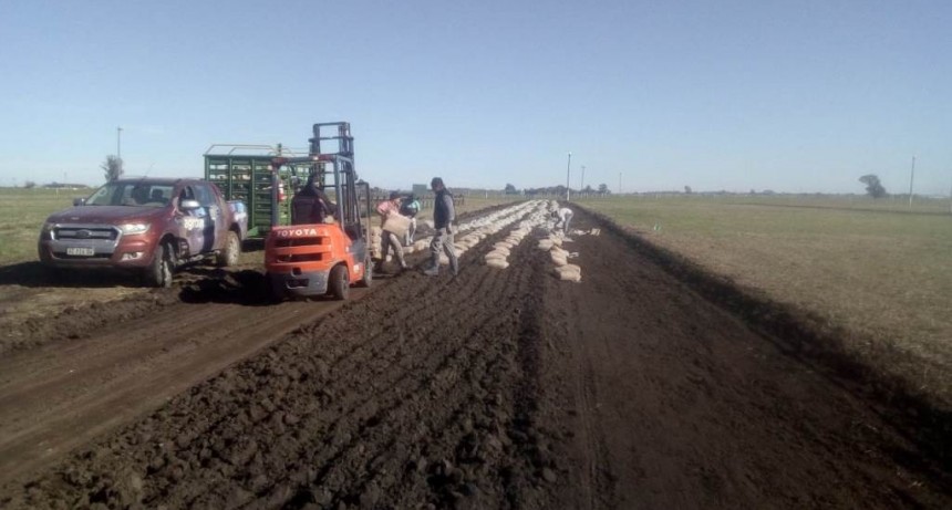 AGROVIAL EL NUEVO PRODUCTO PARA LA ESTABILIZACIÓN DE CAMINOS RURALES SE LANZARÁ EN AGROACTIVA