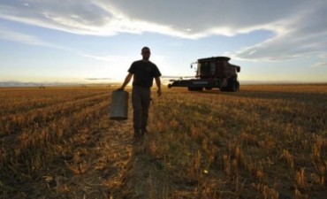 Biodiésel: cuál es el impacto a nivel productor