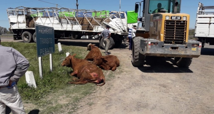 ÚLTIMO MOMENTO: ACCIDENTE EN EL ACCESO A LUCAS GONZÁLEZ