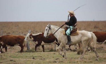 Los dichos cotidianos con origen campero