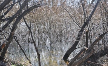 SERÍA DE SANTIAGO MALDONADO EL CUERPO HALLADO AYER EN EL RÍO CHUBUT