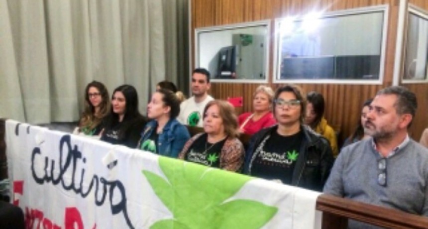 Sanción definitiva para el proyecto sobre uso medicinal de Cannabis
