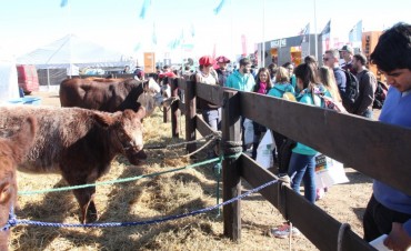 La ganadería cumple 10 años en AgroActiva y promete celebrarlo a lo grande